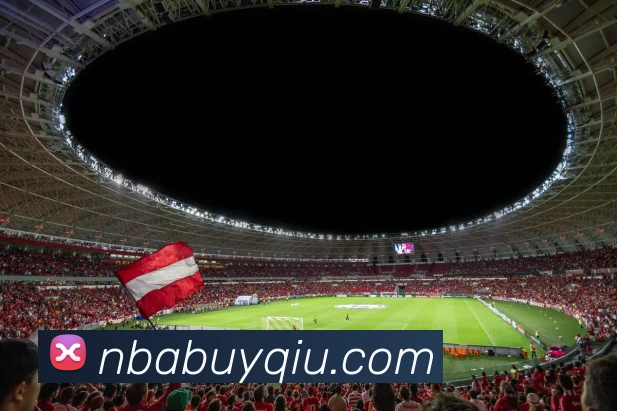 NBA买球网站平台生态图